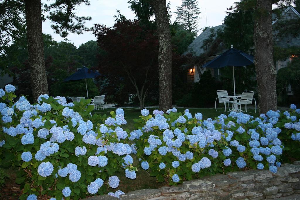 Pleasant Bay Village Resort Chatham Exteriér fotografie